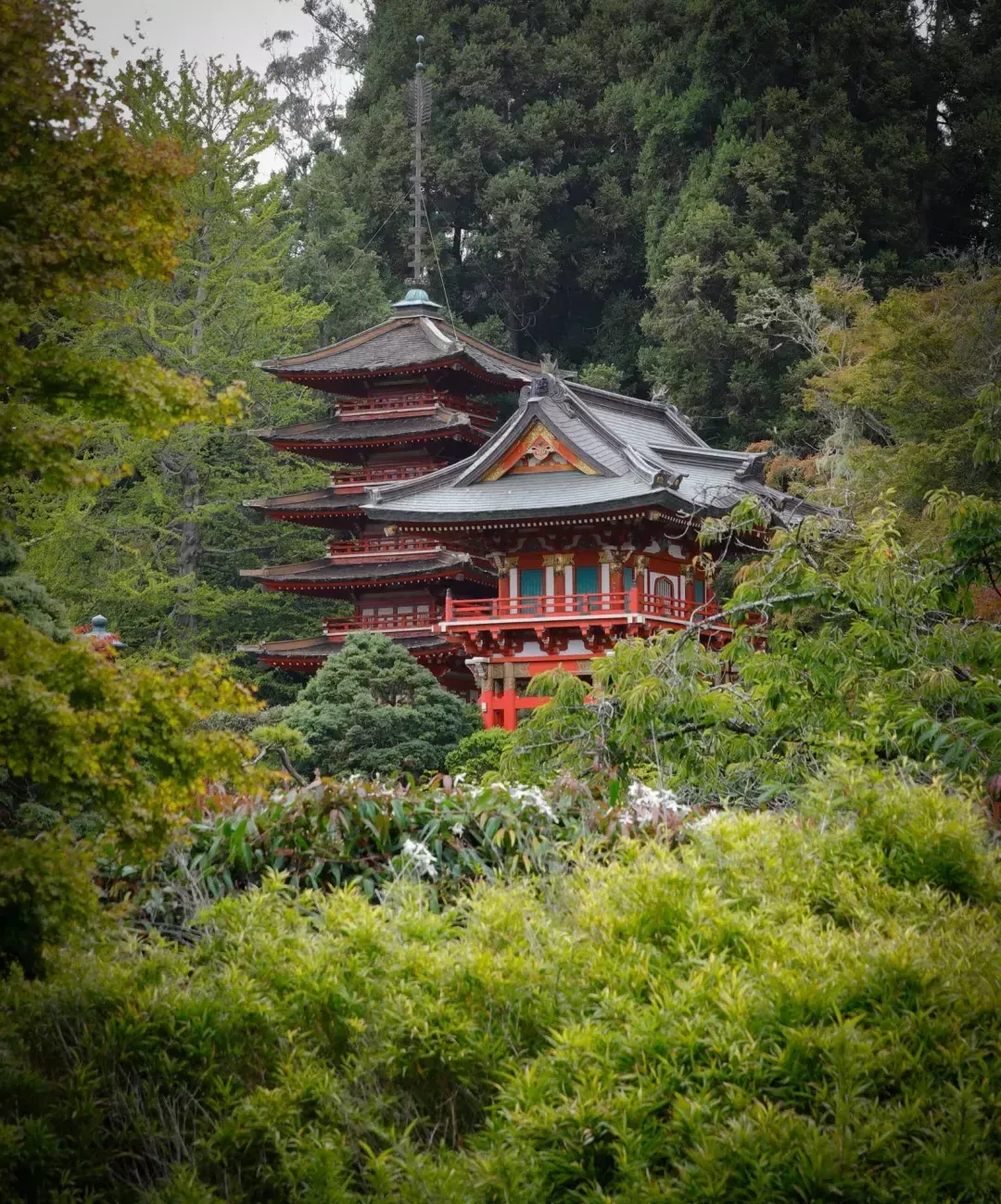 日本花园